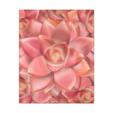 Graptosedum California Sunset Succulent Pattern Canvas Print – Botanical Wall Art