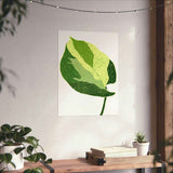Manjula Pothos Illustrated Botanical Print – Unframed Wall Art