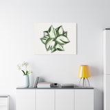 Manjula Pothos Canvas Print – Botanical Wall Art