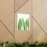 Snake Plant Botanical Print – Unframed Wall Art