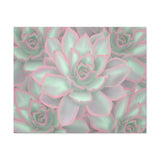 Echeveria Violet Queen Succulent Pattern Canvas Print – Botanical Wall Art