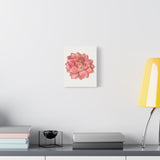 Graptosedum California Sunset Succulent Canvas Print – Botanical Wall Art