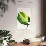 Manjula Pothos Illustrated Botanical Print – Unframed Wall Art