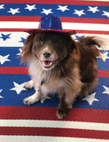 Dog wearing a red, white, and blue hat on an American flag background