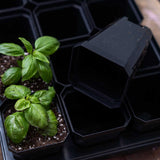 Small basil plants in black pots with a black tray underneath 3.3" Heavy Duty Seed Starting Pots