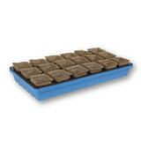Seed starting tray with small CowPots® #3 Square filled with soil on a white background