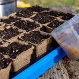 Seedling trays with CowPots® #3 Square
