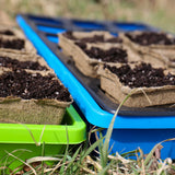 Seedling trays with CowPots® #3 Square in a natural outdoor setting