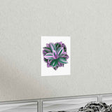 Tradescantia Nanouk Botanical Print – Unframed Wall Art