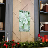 Pachyveria Haagei Succulent Pattern Botanical Print – Unframed Wall Art