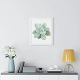 Pachyveria Haagei Succulent Framed Print – Botanical Wall Art