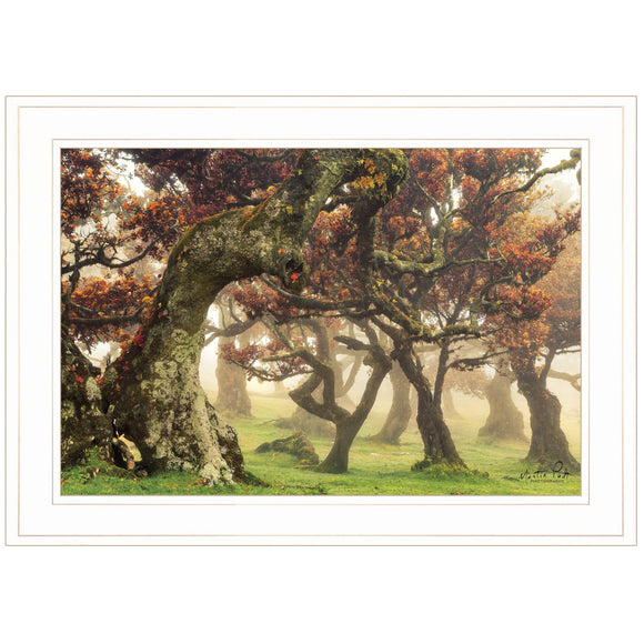 Fanal White Framed Print Wall Art - FREE SHIPPING