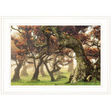 Fanal White Framed Print Wall Art - FREE SHIPPING