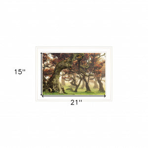 Fanal White Framed Print Wall Art - FREE SHIPPING