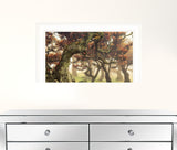Fanal White Framed Print Wall Art - FREE SHIPPING