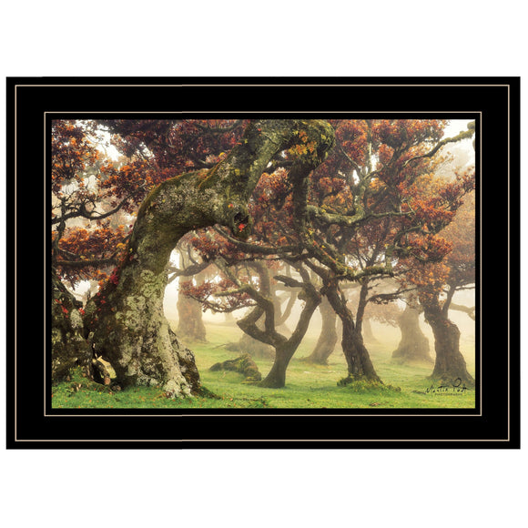 Fanal Martin Podt Ready to Hang Framed Print Black Frame Black Framed Print Wall Art - FREE SHIPPING