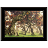 Fanal Martin Podt Ready to Hang Framed Print Black Frame Black Framed Print Wall Art - FREE SHIPPING