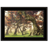 Fanal Martin Podt Ready to Hang Framed Print Black Frame Black Framed Print Wall Art - FREE SHIPPING