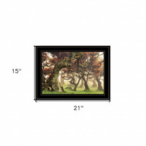 Fanal Martin Podt Ready to Hang Framed Print Black Frame Black Framed Print Wall Art - FREE SHIPPING