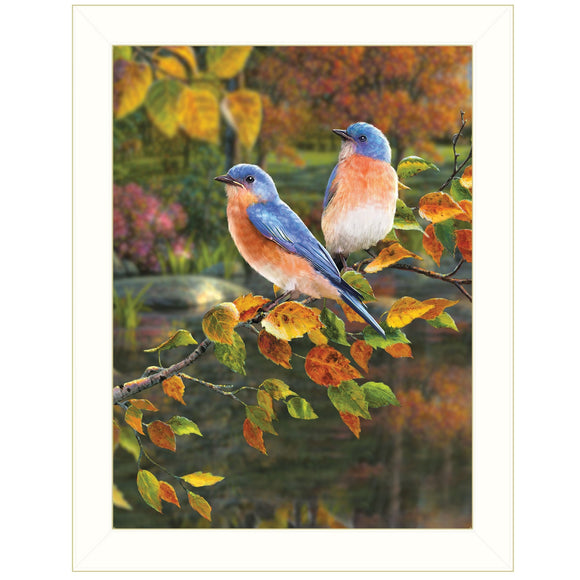 Bluebirds 2 White Framed Print Wall Art - FREE SHIPPING