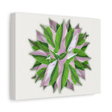 Syngonium Tricolor Pattern Canvas Print – Botanical Wall Art
