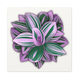Tradescantia Nanouk Canvas Print – Botanical Wall Art