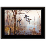 Master of His Domain Collection 2 Black Framed Print Wall Art - FREE SHIPPING