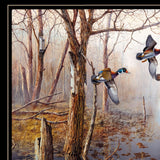 Master of His Domain Collection 2 Black Framed Print Wall Art - FREE SHIPPING