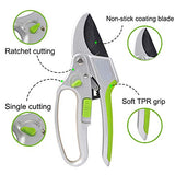 Gardening shears with features highlighted on a white background 2-in-1 Garden Ratchet Pruning Shears Clippers