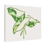 Marble Syngonium Canvas Print – Botanical Wall Art