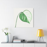 Monstera Albo Canvas Print – Botanical Wall Art