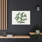 Manjula Pothos Canvas Print – Botanical Wall Art