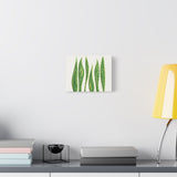 Snake Plant Canvas Print – Botanical Wall Art
