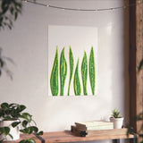Snake Plant Botanical Print – Unframed Wall Art