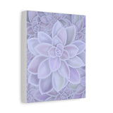 Graptopetalum Murasaki Succulent Pattern Canvas Print – Botanical Wall Art