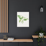 Marble Syngonium Canvas Print – Botanical Wall Art
