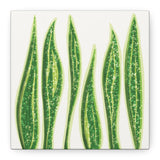Snake Plant Canvas Print – Botanical Wall Art