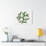 Manjula Pothos Canvas Print – Botanical Wall Art