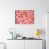 Graptosedum California Sunset Succulent Pattern Canvas Print – Botanical Wall Art