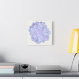 Graptopetalum Murasaki Succulent Canvas Print – Botanical Wall Art