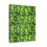 Aglaonema Pictum Canvas Print – Botanical Wall Art