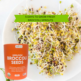 An orange tub of TallTom Heirloom Broccoli Seeds shown next to a white plate of fresh broccoli sprouts, with a green banner reading '5 DAYS TO GROW FRESH BROCCOLI SPROUTS'.