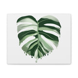 Melting Monstera Albo Canvas Print – Botanical Wall Art