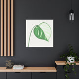 Monstera Albo Canvas Print – Botanical Wall Art