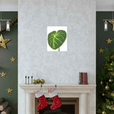 Philodendron Gloriosum Botanical Print – Unframed Wall Art