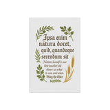 "Nature Herself Is The Best Teacher" Pliny The Elder Quote Garden Banner, Outdoor Decor, Plant Lover Gift, Home and Garden Decor, Inspirational Banner for Garden