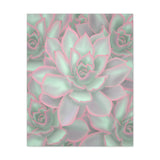 Echeveria Violet Queen Succulent Pattern Canvas Print – Botanical Wall Art