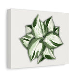 Manjula Pothos Canvas Print – Botanical Wall Art