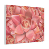 Graptosedum California Sunset Succulent Pattern Canvas Print – Botanical Wall Art