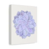 Graptopetalum Murasaki Succulent Canvas Print – Botanical Wall Art